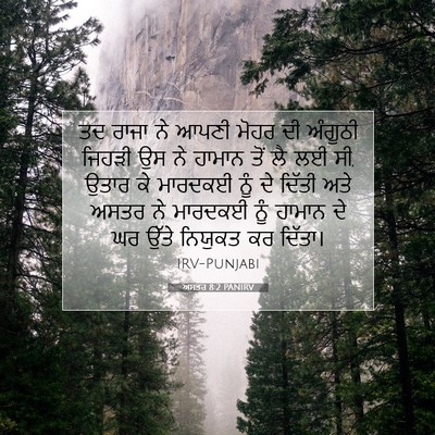 Picture 07 - ਅਸਤਰ 8:2 PANIRV - ਤਦ ਰਾਜਾ ਨੇ ਆਪਣੀ - Bible Verse Picture