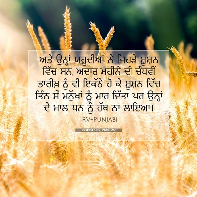 Picture 07 - ਅਸਤਰ 9:15 PANIRV - ਅਤੇ ਉਨ੍ਹਾਂ - Bible Verse Picture