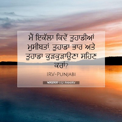 Picture 07 - ਅਸਤਸਨਾ 1:12 PANIRV - ਮੈਂ ਇਕੱਲਾ ਕਿਵੇਂ - Bible Verse Picture