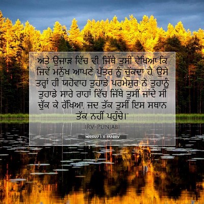 Picture 07 - ਅਸਤਸਨਾ 1:31 PANIRV - ਅਤੇ ਉਜਾੜ ਵਿੱਚ ਵੀ, - Bible Verse Picture