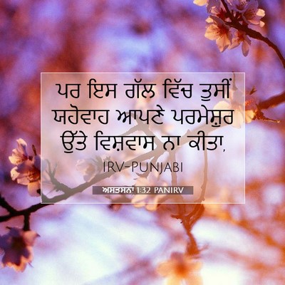 Picture 07 - ਅਸਤਸਨਾ 1:32 PANIRV - ਪਰ ਇਸ ਗੱਲ ਵਿੱਚ - Bible Verse Picture