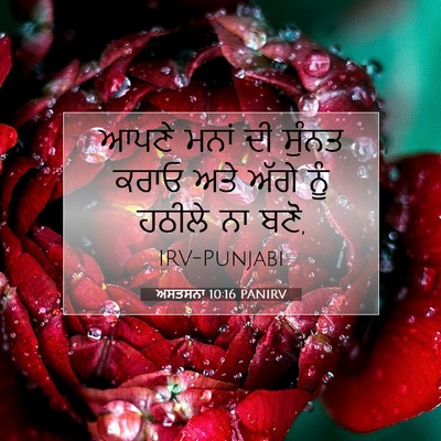 Picture 07 - ਅਸਤਸਨਾ 10:16 PANIRV - ਆਪਣੇ ਮਨਾਂ ਦੀ ਸੁੰਨਤ - Bible Verse Picture