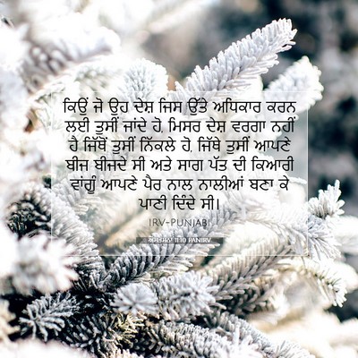 Picture 07 - ਅਸਤਸਨਾ 11:10 PANIRV - ਕਿਉਂ ਜੋ ਉਹ ਦੇਸ਼ ਜਿਸ - Bible Verse Picture