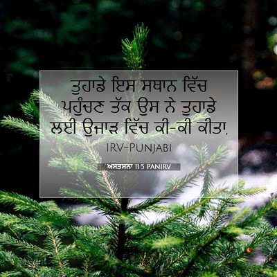 Picture 07 - ਅਸਤਸਨਾ 11:5 PANIRV - ਤੁਹਾਡੇ ਇਸ ਸਥਾਨ - Bible Verse Picture