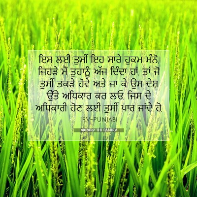 Picture 07 - ਅਸਤਸਨਾ 11:8 PANIRV - ਇਸ ਲਈ ਤੁਸੀਂ ਇਹ ਸਾਰੇ - Bible Verse Picture