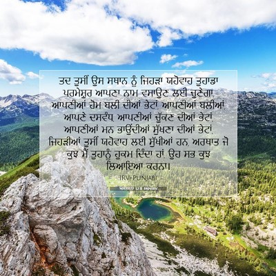 Picture 07 - ਅਸਤਸਨਾ 12:11 PANIRV - ਤਦ ਤੁਸੀਂ ਉਸ ਸਥਾਨ - Bible Verse Picture