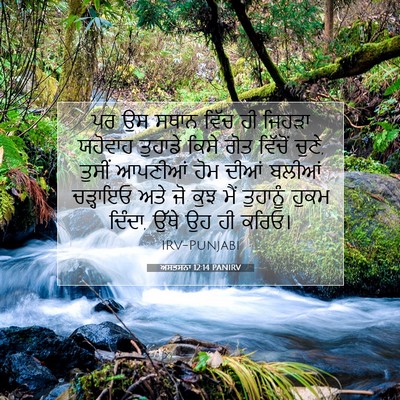 Picture 07 - ਅਸਤਸਨਾ 12:14 PANIRV - ਪਰ ਉਸ ਸਥਾਨ ਵਿੱਚ ਹੀ - Bible Verse Picture
