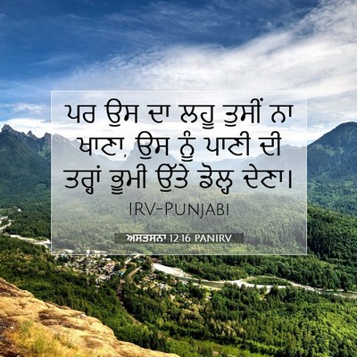 Picture 07 - ਅਸਤਸਨਾ 12:16 PANIRV - ਪਰ ਉਸ ਦਾ ਲਹੂ ਤੁਸੀਂ - Bible Verse Picture