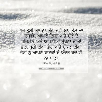Picture 07 - ਅਸਤਸਨਾ 12:17 PANIRV - ਪਰ ਤੁਸੀਂ ਆਪਣਾ ਅੰਨ, - Bible Verse Picture