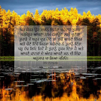 Picture 07 - ਅਸਤਸਨਾ 12:21 PANIRV - ਪਰ ਜੇਕਰ ਉਹ ਸਥਾਨ - Bible Verse Picture