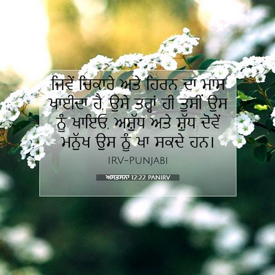 Picture 07 - ਅਸਤਸਨਾ 12:22 PANIRV - ਜਿਵੇਂ ਚਿਕਾਰੇ ਅਤੇ - Bible Verse Picture