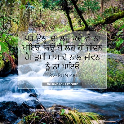 Picture 07 - ਅਸਤਸਨਾ 12:23 PANIRV - ਪਰ ਉਨ੍ਹਾਂ ਦਾ ਲਹੂ - Bible Verse Picture