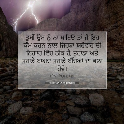 Picture 07 - ਅਸਤਸਨਾ 12:25 PANIRV - ਤੁਸੀਂ ਉਸ ਨੂੰ ਨਾ - Bible Verse Picture