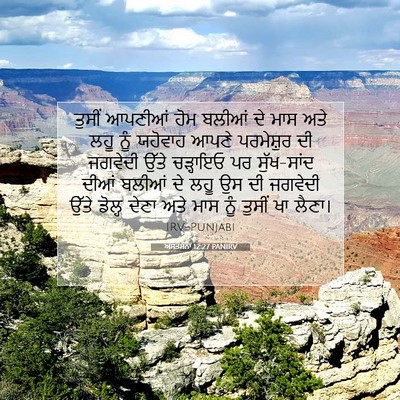 Picture 07 - ਅਸਤਸਨਾ 12:27 PANIRV - ਤੁਸੀਂ ਆਪਣੀਆਂ ਹੋਮ - Bible Verse Picture