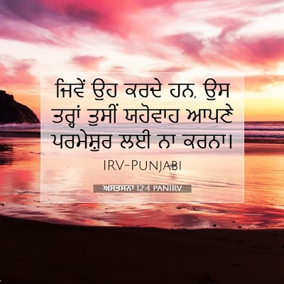 Picture 07 - ਅਸਤਸਨਾ 12:4 PANIRV - ਜਿਵੇਂ ਉਹ ਕਰਦੇ ਹਨ, - Bible Verse Picture