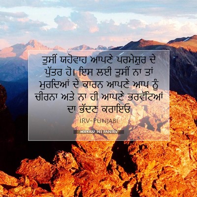 Picture 07 - ਅਸਤਸਨਾ 14:1 PANIRV - ਤੁਸੀਂ ਯਹੋਵਾਹ ਆਪਣੇ - Bible Verse Picture