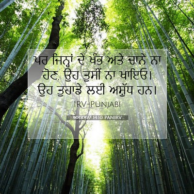 Picture 07 - ਅਸਤਸਨਾ 14:10 PANIRV - ਪਰ ਜਿਨ੍ਹਾਂ ਦੇ ਖੰਭ - Bible Verse Picture