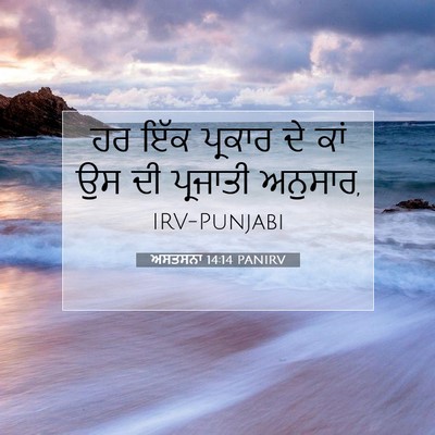 Picture 07 - ਅਸਤਸਨਾ 14:14 PANIRV - ਹਰ ਇੱਕ ਪ੍ਰਕਾਰ ਦੇ - Bible Verse Picture