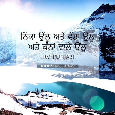 Picture 07 - ਅਸਤਸਨਾ 14:16 PANIRV - ਨਿੱਕਾ ਉੱਲੂ ਅਤੇ - Bible Verse Picture