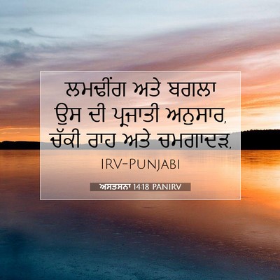 Picture 07 - ਅਸਤਸਨਾ 14:18 PANIRV - ਲਮਢੀਂਗ ਅਤੇ ਬਗਲਾ ਉਸ - Bible Verse Picture