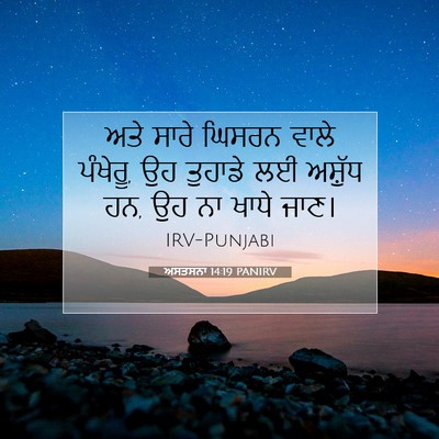 Picture 07 - ਅਸਤਸਨਾ 14:19 PANIRV - ਅਤੇ ਸਾਰੇ ਘਿਸਰਨ - Bible Verse Picture
