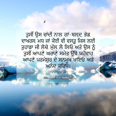 Picture 07 - ਅਸਤਸਨਾ 14:26 PANIRV - ਤੁਸੀਂ ਉਸ ਚਾਂਦੀ ਨਾਲ - Bible Verse Picture