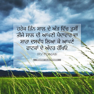 Picture 07 - ਅਸਤਸਨਾ 14:28 PANIRV - ਹਰੇਕ ਤਿੰਨ ਸਾਲ ਦੇ - Bible Verse Picture
