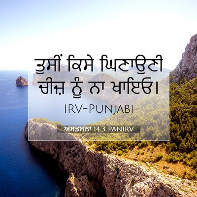 Picture 07 - ਅਸਤਸਨਾ 14:3 PANIRV - ਤੁਸੀਂ ਕਿਸੇ - Bible Verse Picture