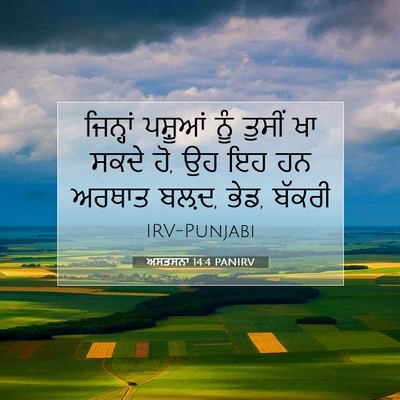 Picture 07 - ਅਸਤਸਨਾ 14:4 PANIRV - ਜਿਨ੍ਹਾਂ ਪਸ਼ੂਆਂ - Bible Verse Picture