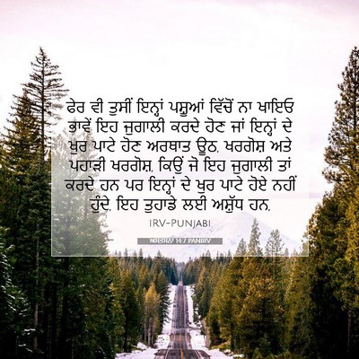 Picture 07 - ਅਸਤਸਨਾ 14:7 PANIRV - ਫੇਰ ਵੀ ਤੁਸੀਂ - Bible Verse Picture