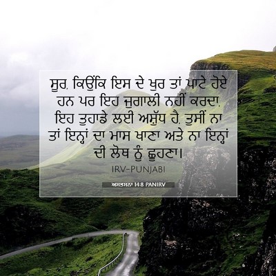 Picture 07 - ਅਸਤਸਨਾ 14:8 PANIRV - ਸੂਰ, ਕਿਉਂਕਿ ਇਸ ਦੇ - Bible Verse Picture