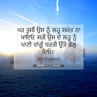 Picture 07 - ਅਸਤਸਨਾ 15:23 PANIRV - ਪਰ ਤੁਸੀਂ ਉਸ ਨੂੰ ਲਹੂ - Bible Verse Picture