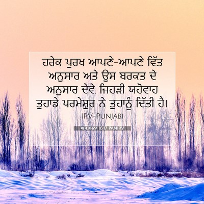 Picture 07 - ਅਸਤਸਨਾ 16:17 PANIRV - ਹਰੇਕ ਪੁਰਖ - Bible Verse Picture