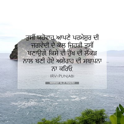 Picture 07 - ਅਸਤਸਨਾ 16:21 PANIRV - ਤੁਸੀਂ ਯਹੋਵਾਹ ਆਪਣੇ - Bible Verse Picture