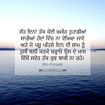 Picture 07 - ਅਸਤਸਨਾ 16:4 PANIRV - ਸੱਤ ਦਿਨਾਂ ਤੱਕ ਕੋਈ - Bible Verse Picture