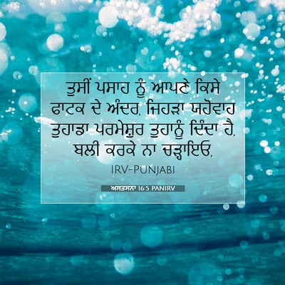 Picture 07 - ਅਸਤਸਨਾ 16:5 PANIRV - ਤੁਸੀਂ ਪਸਾਹ ਨੂੰ - Bible Verse Picture