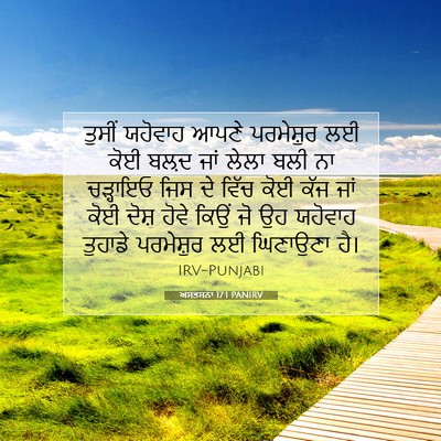 Picture 07 - ਅਸਤਸਨਾ 17:1 PANIRV - ਤੁਸੀਂ ਯਹੋਵਾਹ ਆਪਣੇ - Bible Verse Picture
