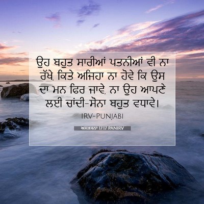 Picture 07 - ਅਸਤਸਨਾ 17:17 PANIRV - ਉਹ ਬਹੁਤ ਸਾਰੀਆਂ - Bible Verse Picture