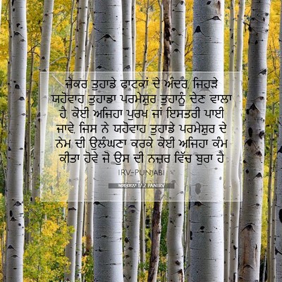Picture 07 - ਅਸਤਸਨਾ 17:2 PANIRV - ਜੇਕਰ ਤੁਹਾਡੇ - Bible Verse Picture