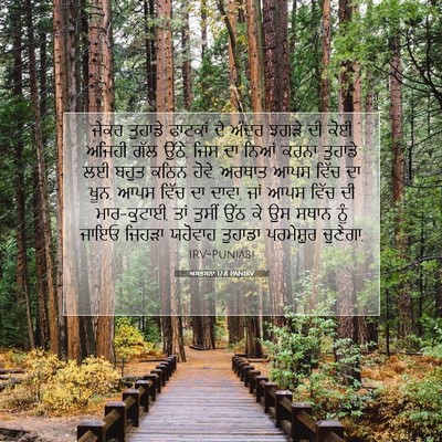 Picture 07 - ਅਸਤਸਨਾ 17:8 PANIRV - ਜੇਕਰ ਤੁਹਾਡੇ - Bible Verse Picture