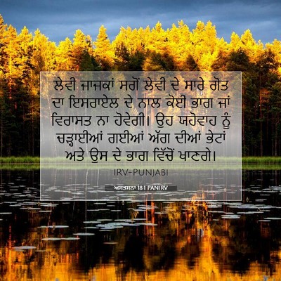 Picture 07 - ਅਸਤਸਨਾ 18:1 PANIRV - ਲੇਵੀ ਜਾਜਕਾਂ ਸਗੋਂ - Bible Verse Picture