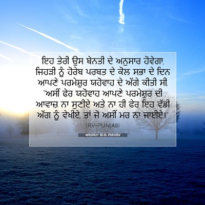 Picture 07 - ਅਸਤਸਨਾ 18:16 PANIRV - ਇਹ ਤੇਰੀ ਉਸ ਬੇਨਤੀ ਦੇ - Bible Verse Picture