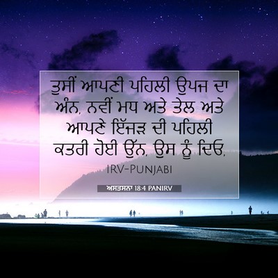 Picture 07 - ਅਸਤਸਨਾ 18:4 PANIRV - ਤੁਸੀਂ ਆਪਣੀ ਪਹਿਲੀ - Bible Verse Picture