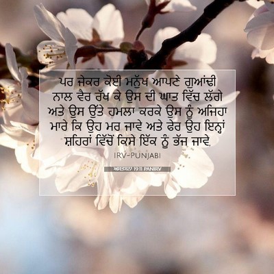 Picture 07 - ਅਸਤਸਨਾ 19:11 PANIRV - ਪਰ ਜੇਕਰ ਕੋਈ ਮਨੁੱਖ - Bible Verse Picture