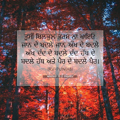 Picture 07 - ਅਸਤਸਨਾ 19:21 PANIRV - ਤੁਸੀਂ ਬਿਲਕੁਲ ਤਰਸ - Bible Verse Picture