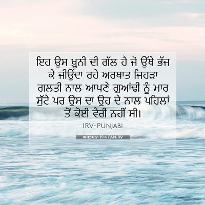 Picture 07 - ਅਸਤਸਨਾ 19:4 PANIRV - ਇਹ ਉਸ ਖ਼ੂਨੀ ਦੀ ਗੱਲ - Bible Verse Picture