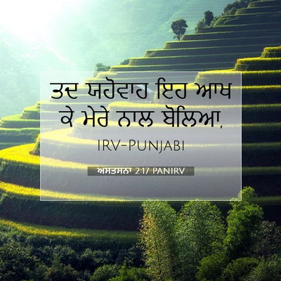 Picture 07 - ਅਸਤਸਨਾ 2:17 PANIRV - ਤਦ ਯਹੋਵਾਹ ਇਹ ਆਖ ਕੇ - Bible Verse Picture