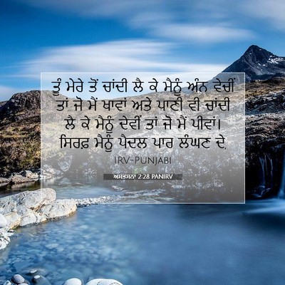 Picture 07 - ਅਸਤਸਨਾ 2:28 PANIRV - ਤੂੰ ਮੇਰੇ ਤੋਂ ਚਾਂਦੀ - Bible Verse Picture