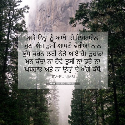 Picture 07 - ਅਸਤਸਨਾ 20:3 PANIRV - ਅਤੇ ਉਨ੍ਹਾਂ ਨੂੰ ਆਖੇ, - Bible Verse Picture
