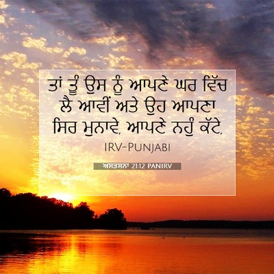 Picture 07 - ਅਸਤਸਨਾ 21:12 PANIRV - ਤਾਂ ਤੂੰ ਉਸ ਨੂੰ ਆਪਣੇ - Bible Verse Picture